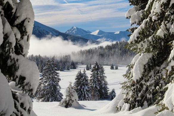Le Flocon-Studio Cabine-Balcon 4-6 Pers A 100M Des Pistes Chamrousse Ngoại thất bức ảnh