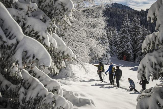 Le Flocon-Studio Cabine-Balcon 4-6 Pers A 100M Des Pistes Chamrousse Ngoại thất bức ảnh