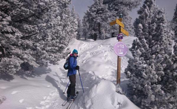 Le Flocon-Studio Cabine-Balcon 4-6 Pers A 100M Des Pistes Chamrousse Ngoại thất bức ảnh