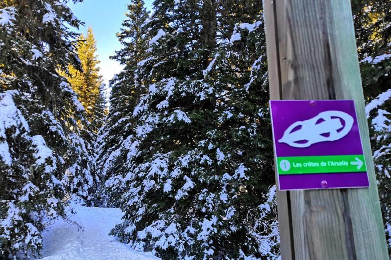 Le Flocon-Studio Cabine-Balcon 4-6 Pers A 100M Des Pistes Chamrousse Ngoại thất bức ảnh